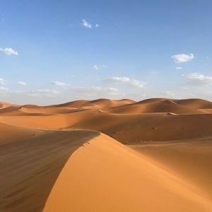 Item 1 kimono animal